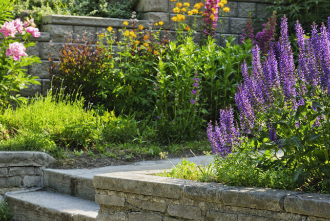 mg_slide_Q-e1733786755172